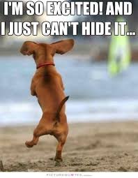 Holiday Announcement