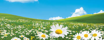 Spring Clean Price List